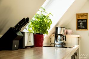 un bancone della cucina con macchinetta del caffè e una pianta di TeigenHeim a Rüdesheim am Rhein