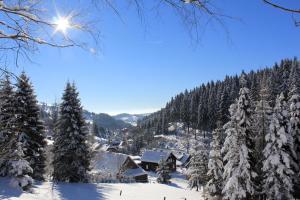 Pokrajina v okolici apartmaja