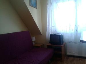 Schlafzimmer mit einem Bett, einem TV und einem Fenster in der Unterkunft Apartamenty, Pokoje, Noclegi pracownicze " Skarpa" Wilkasy in Wilkasy