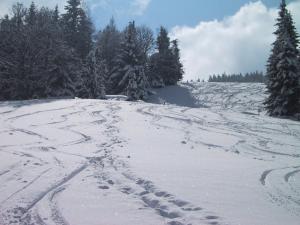 Hotel Schröckerhof tokom zime