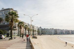 Spiaggia vicina o nei dintorni dell'hotel