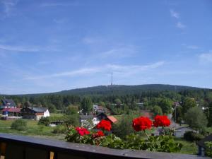 una vista dal balcone di una città con fiori rossi di Hotel Bergblick a Warmensteinach