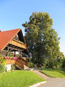 Градина пред Country House Apat