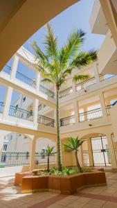 a palm tree in the middle of a building at Apartamentos Quinta da Praia in Alvor