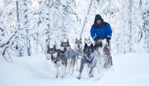 Wilderness Hotel Inari & Igloos през зимата