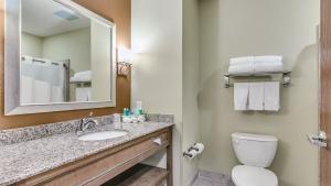 Un baño de Holiday Inn Express & Suites Lubbock Southwest – Wolfforth, an IHG Hotel