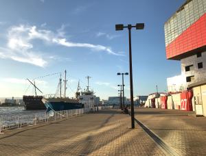 a pier with two ships in the water and a street light at Hotel Seagull Tenpozan Osaka in Osaka