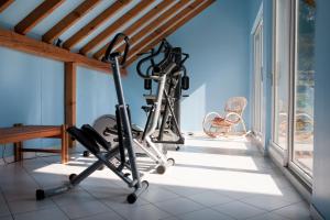 Centrul de fitness și/sau facilități de fitness de la Hôtel des Vosges