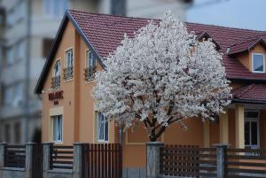 a tree in front of a house with a fence at Villa Parc in Cluj-Napoca