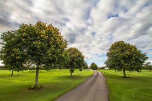 een onverharde weg met bomen in het midden van een veld bij Mendip Spring Golf and Country Club in Churchill