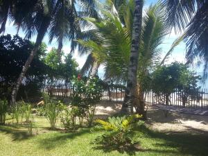 een park met palmbomen en een houten hek bij Residence Tsara Vintana in Ambatoloaka