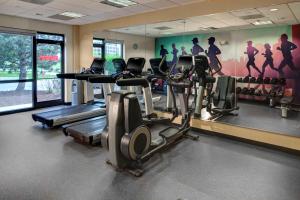 O centro de fitness e/ou as comodidades de fitness de Hyatt Place Tampa Busch Gardens