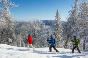 Auberge de Montagne des Chic-Chocs Mountain Lodge - Sepaq saat musim dingin