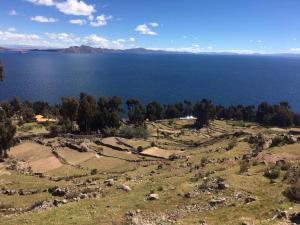 Un paisaje natural cerca del complejo de cabañas