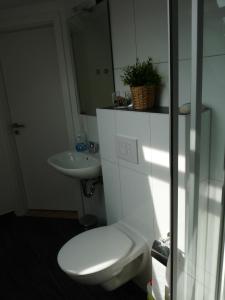 bagno bianco con servizi igienici e lavandino di Haus Irma a Zingst