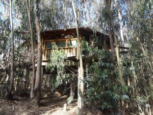 a tree house in the middle of the trees at Cabanas Curi-Huapi in Isla Negra