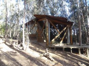 a wooden cabin in the middle of a forest at Cabanas Curi-Huapi in Isla Negra