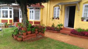 een geel huis met potplanten ervoor bij Wyoming Heritage in Ooty