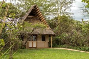 En hage utenfor Ziwa Bush Lodge