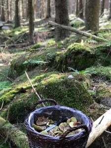 Naturlandskabet i nærheden af ferieparken