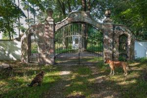 Foto dalla galleria di Dom Łowczego Gnoyna Park a Radziejowice