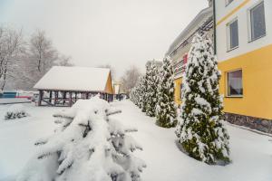 L'établissement Hotel Continent en hiver