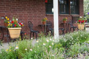 Jardin de l'établissement Old Town Inn