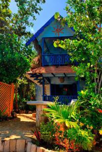 une petite maison bleue avec une étoile sur son toit dans l'établissement The Caves, à Negril