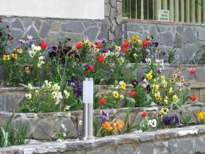 een bloementuin in een stenen muur bij Vila Ana-Maria in Sinaia