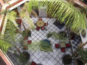 Garden sa labas ng Riad Chennaoui