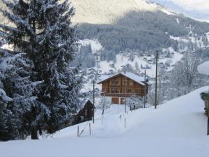 Chalet Studen зимой