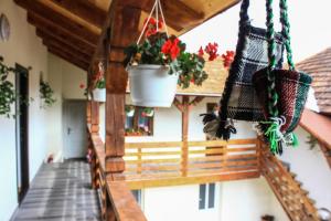 a porch with potted plants in a house at Pensiunea Mariana in Ocna Şugatag