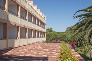 Jardí fora de Hotel Oasis