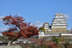 Fotografia z galérie ubytovania Himeji 588 Guest House v destinácii Himeji