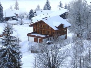 Chalet Studen зимой