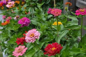 A garden outside Mutznhof