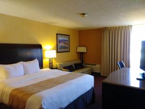 Quality Inn & Suites Fort Collins 객실 침대