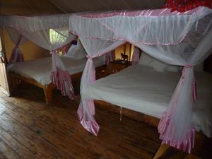 twee bedden in een kamer met roze klamboes bij Roika Tarangire Tented Lodge in Kwa Kuchinia