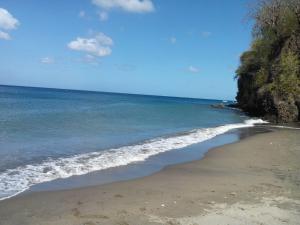 a sandy beach with the ocean and a cliff at Madiana plage in Schœlcher