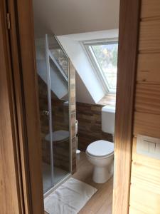 een badkamer met een toilet en een raam bij Apartmaji in sobe Tina in Kranjska Gora