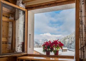 een raam met uitzicht op een besneeuwde berg bij Chalet Bluebell in Les Gets