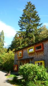 Una casa con un árbol encima. en Hapimag Ferienwohnungen Braunlage, en Braunlage