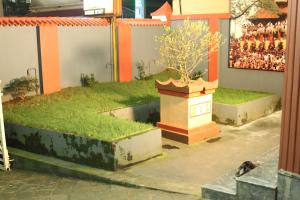 a small tree in a planter in front of a building at ShivalayaHomestay in Trichūr