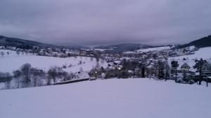 een stad in de sneeuw op een berg bij Ferienwohnung & Gästezimmer Schrichten in Schmallenberg