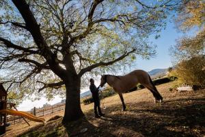 Animale la sau în apropiere de această pensiune agroturistică