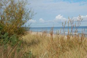 uma praia de areia com vista para o oceano em Ferienhotel Bernstein em Trassenheide