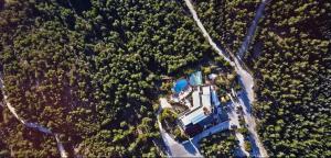 Vue de tête d'une maison au milieu d'une forêt dans l'établissement Philippion, à Thessalonique