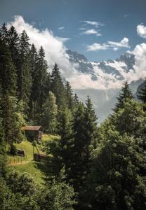 een uitzicht op een heuvel met bomen en een hut bij Hotel Edelweiss in Wengen