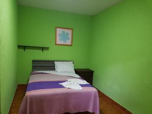 Grünes Zimmer mit einem Bett mit einer lila Decke in der Unterkunft Hotel Nuevo Cupatitzio in Uruapan del Progreso