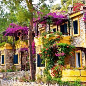 Taman di luar Symbola Oludeniz Beach Hotel